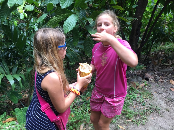 The Girls eating cacao seeds on the trail.